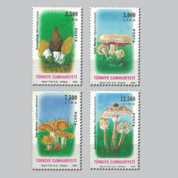 1994 Mantarlar Pulları