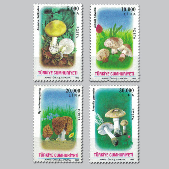 1995 Mantarlar Pulları