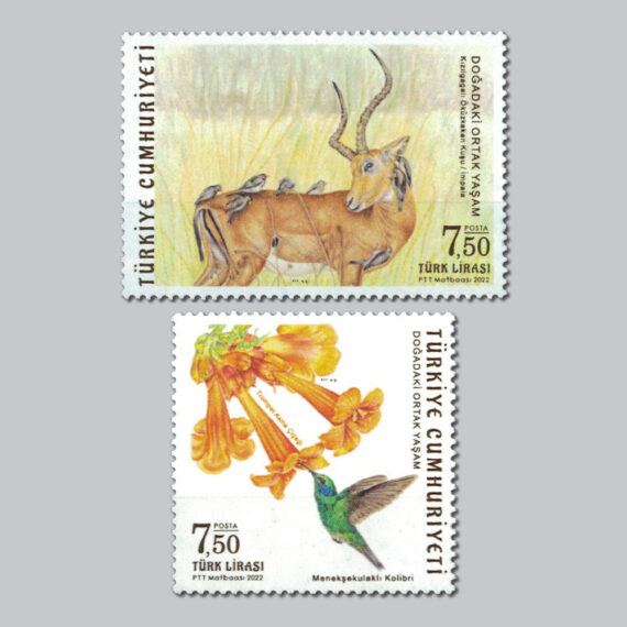 2022 Doğadaki Ortak Yaşam Pulları