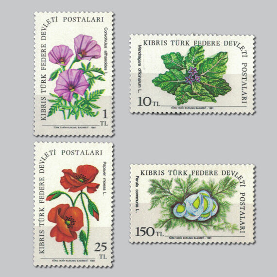 1981 Kır Çiçekleri