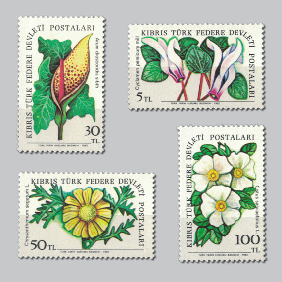 1982 Kır Çiçekleri