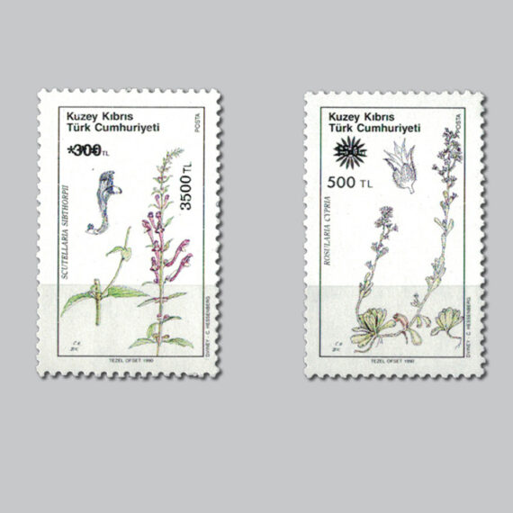 1990 KKTC'ye Özgü Bitkiler