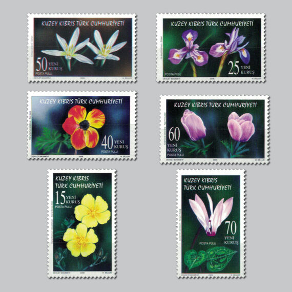 2006 Kır Çiçekleri