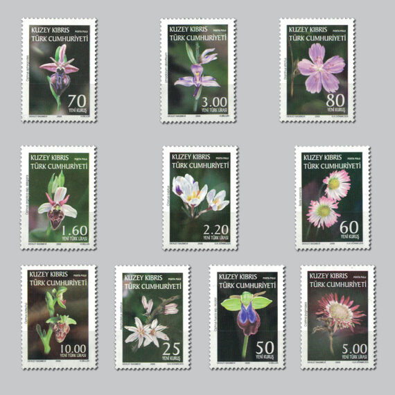 2008 Orkideler - Kır Çiçekleri