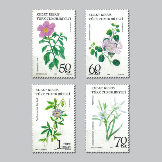 2009 Tıbbi Bitkiler