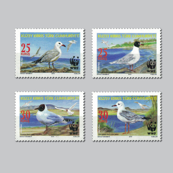 2010 Dünya Çevre Günü Kuşlar (Martılar)