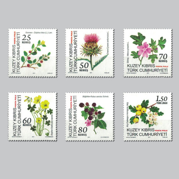 2011 Bitki ve Meyveler