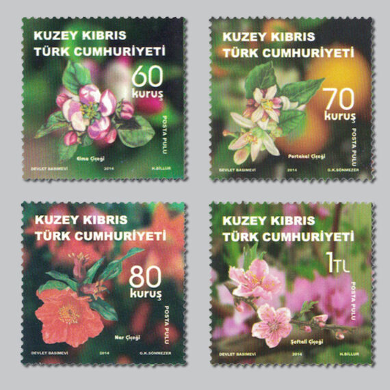 2014 Meyve Ağacı Çiçekleri